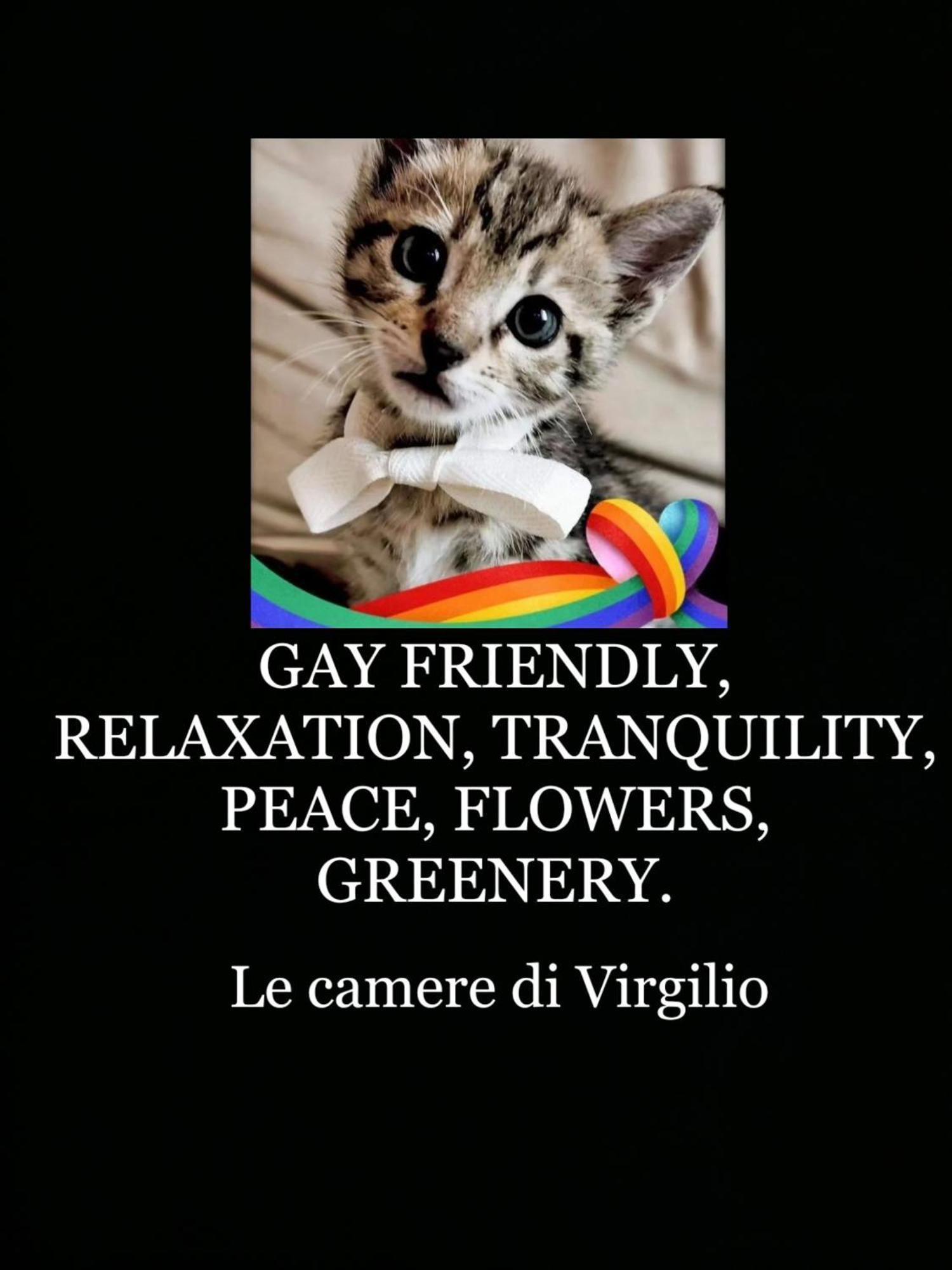 Le Camere Di Virgilio Monzambano Ngoại thất bức ảnh